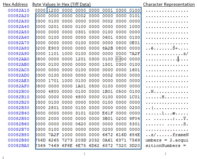 imgix.bustle.com/inverse/cf/a3/f3/f6/1e1e/475f/a19