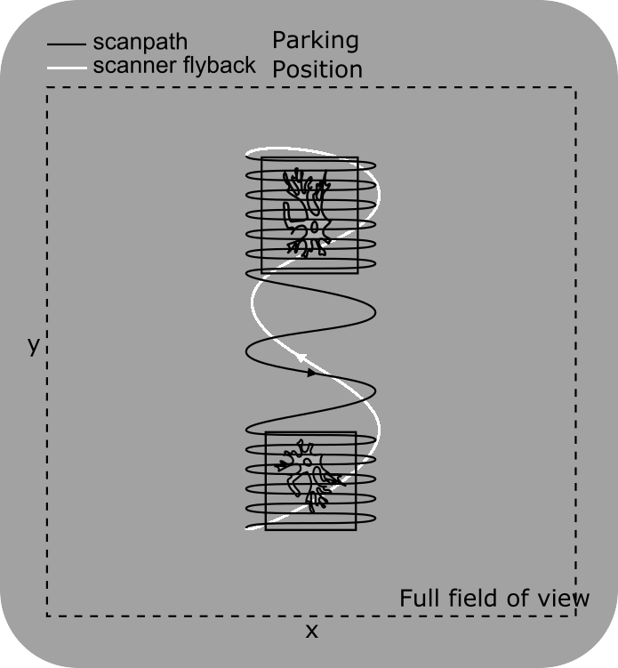 ../../_images/scanpath%2BRG.png