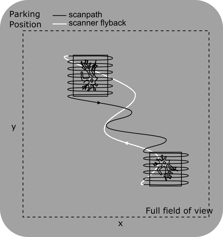 ../../_images/scanpath%2BRGG.png