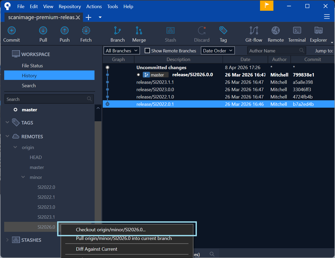 ../_images/sourcetree-minor-branches.png